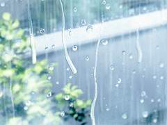 닿지 않는 마음