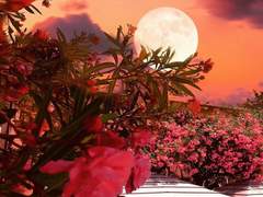 You see me as your lifeline