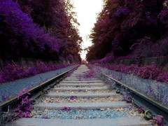 SPREAD (스프레드)