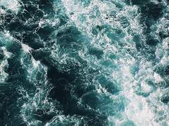 파도에 휩쓸려 죽어버리고 싶었다.