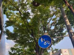 [줘즈쓰양] OUR SUMMER