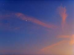 봄과 겨울 사이