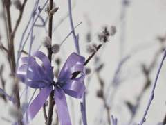 다시, 친애하는 랑슈 귀하.