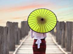 Image - Adjustment - Replace Color  ...