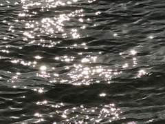 원통하지 않을 수 없다