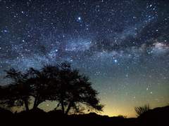 [조나미] 늦은 재회