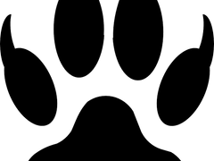 [노아유셒] 적랑흑호