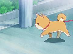 [하이큐 상황문답 | 강아지] 강아지와 함께 산책하다 그를 만났다 ver. 카라스노