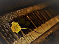 [이솝에밀] 기다림의 이면들