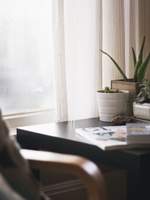 지나친 사랑은 독이 된다