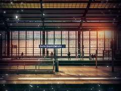 매슬로우 기본 욕구 2단계_안전의 욕구