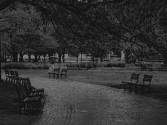 [찬백] 특별한 룸서비스 외전 上