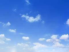 인연에서 우연으로