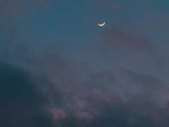 [남 재헌/23/여성/비공개]