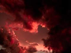 [성유라/23/F/공개]