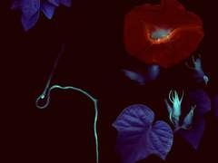 하필이면 화요일에 02