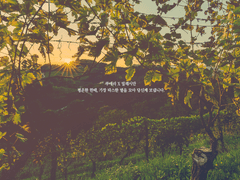 [루에밀레] 한때