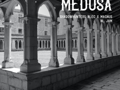 MEDUSA 04