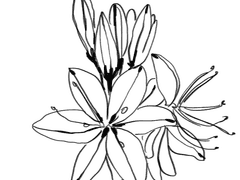 [에단노아] 스승의 은혜