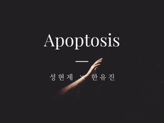 [현제유진] Apoptosis 1