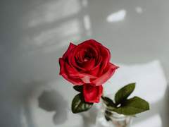 [현제유진] 한 시간 반