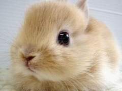 ‘스승의 노래’는 환상 존경심 없는게 학생 탓이랴 / 듀나