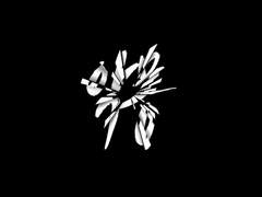 악몽 (惡夢) 15. -2부 完-