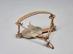 고양이발바닥 열 ( 덫 )