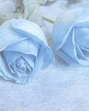 나의 작은 파편들