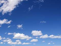 8월 19일, 너에게