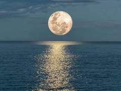 [아스포델. A.아멜리아| 그리핀도르| 1학년]