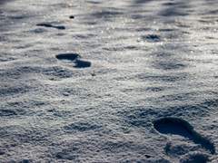 [샘딘] 트윗 썰 백업 12~14