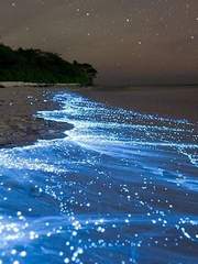 불치병(不治病)