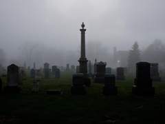 [시레귤] Are you there?