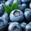 블루베리