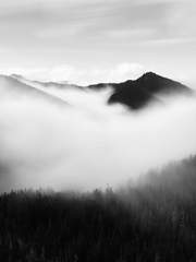 진혼 장편 연성 : 水墨畫 (수묵화)