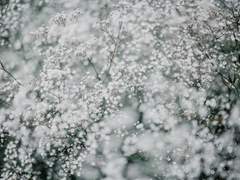 7학년 말의 어느 날.