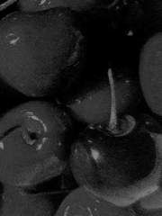 체리 쥬빌레 (完)