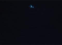 결국 사랑할 수 밖에 없었다.