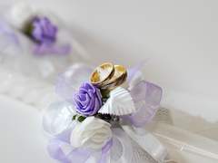 희신강징 전력 60분 - 반지