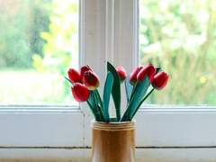 [찬백] 한 번의 결혼과 두 번의 부부