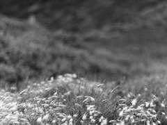 [희신강징] 헤어질 때