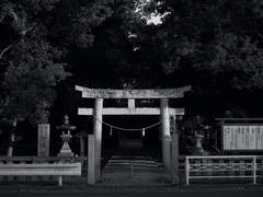 [제 240회] 히게사니「시로무쿠(白無垢)」