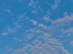 메모리, 우리의 청춘