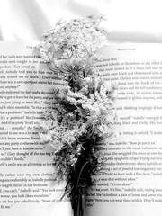 그 신사의 이야기