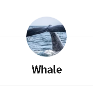 로드에게 전하는 편지 / Whale