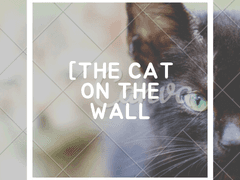 [The Cat On The Wall/더 캣 온 더 월]