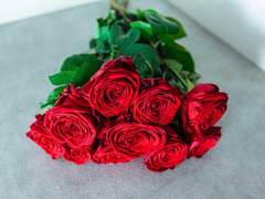 [두기민호] 첫 번째