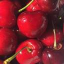 체리