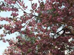 [진슙]Have a crush on you 4